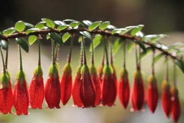 中山东凤6私人快速借钱网，轻松解决资金难题