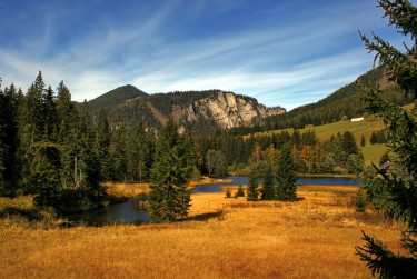 中山东凤6民间私贷攻略：揭秘低成本借贷的秘密