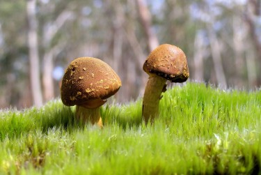 中山东凤6私人老板放款：轻松融资的秘密通道